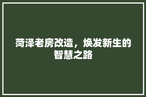 菏泽老房改造，焕发新生的智慧之路