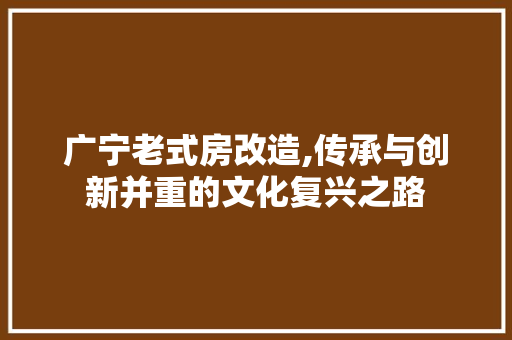 广宁老式房改造,传承与创新并重的文化复兴之路