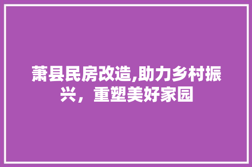 萧县民房改造,助力乡村振兴，重塑美好家园