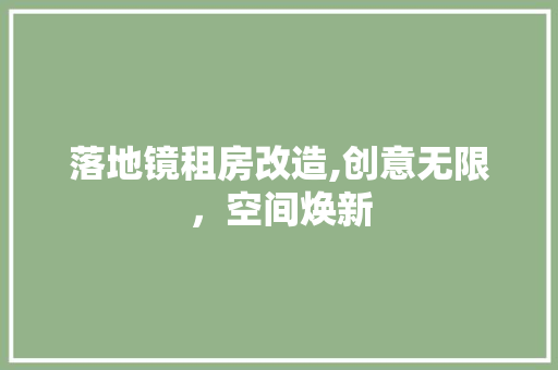 落地镜租房改造,创意无限，空间焕新