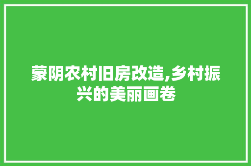 蒙阴农村旧房改造,乡村振兴的美丽画卷
