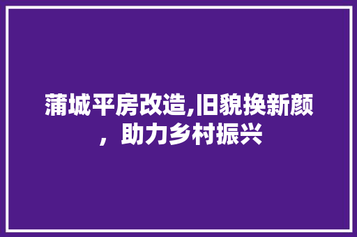 蒲城平房改造,旧貌换新颜，助力乡村振兴