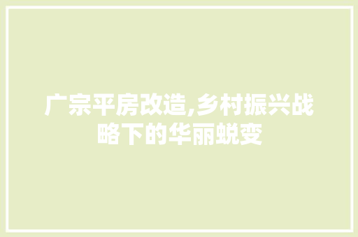 广宗平房改造,乡村振兴战略下的华丽蜕变