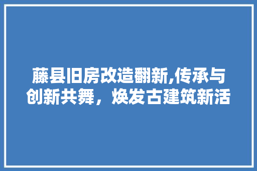 藤县旧房改造翻新,传承与创新共舞，焕发古建筑新活力