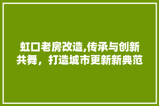 虹口老房改造,传承与创新共舞，打造城市更新新典范