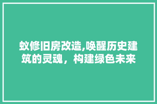 蚁修旧房改造,唤醒历史建筑的灵魂，构建绿色未来