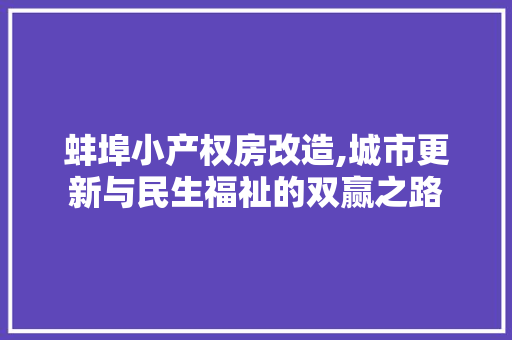 蚌埠小产权房改造,城市更新与民生福祉的双赢之路