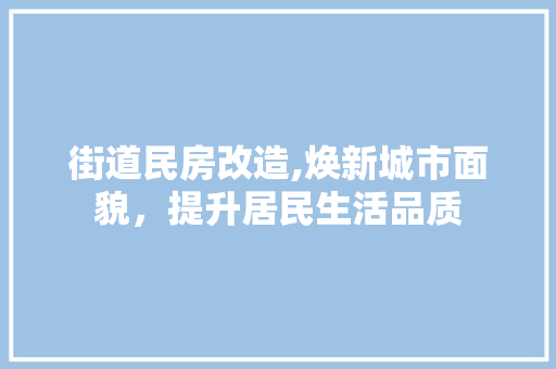 街道民房改造,焕新城市面貌，提升居民生活品质