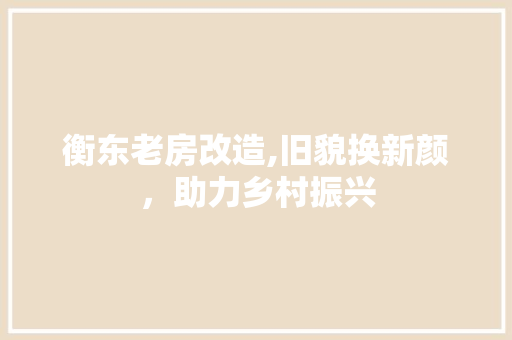 衡东老房改造,旧貌换新颜，助力乡村振兴