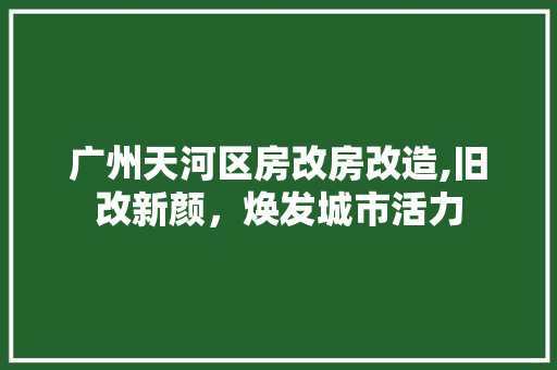 广州天河区房改房改造,旧改新颜，焕发城市活力