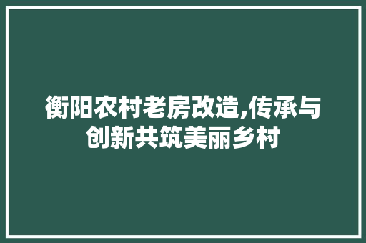 衡阳农村老房改造,传承与创新共筑美丽乡村