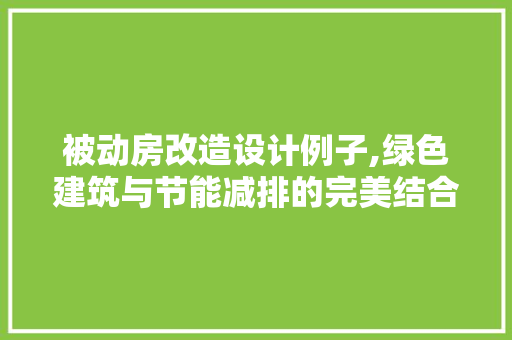 被动房改造设计例子,绿色建筑与节能减排的完美结合