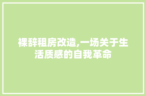 裸辞租房改造,一场关于生活质感的自我革命