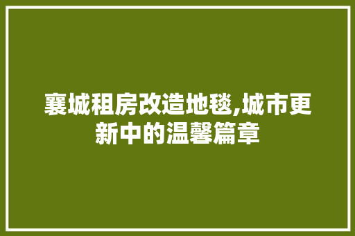 襄城租房改造地毯,城市更新中的温馨篇章