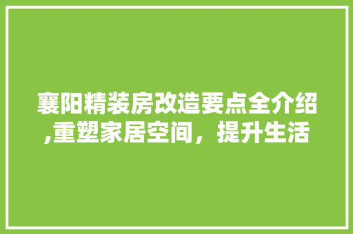 襄阳精装房改造要点全介绍,重塑家居空间，提升生活品质