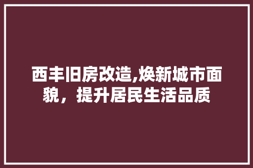 西丰旧房改造,焕新城市面貌，提升居民生活品质
