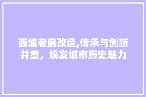 西城老房改造,传承与创新并重，焕发城市历史魅力
