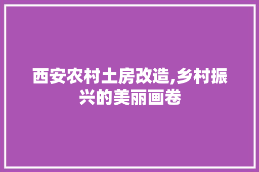 西安农村土房改造,乡村振兴的美丽画卷