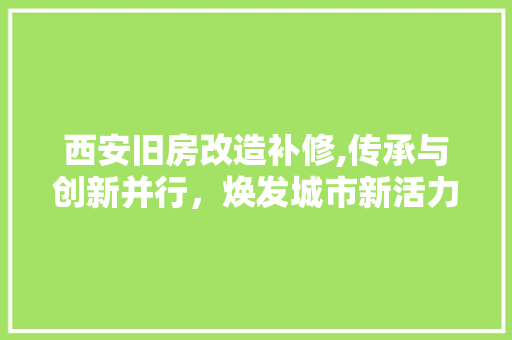 西安旧房改造补修,传承与创新并行，焕发城市新活力