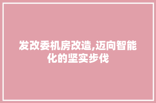 发改委机房改造,迈向智能化的坚实步伐