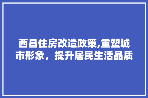 西昌住房改造政策,重塑城市形象，提升居民生活品质