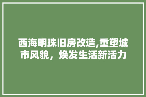 西海明珠旧房改造,重塑城市风貌，焕发生活新活力