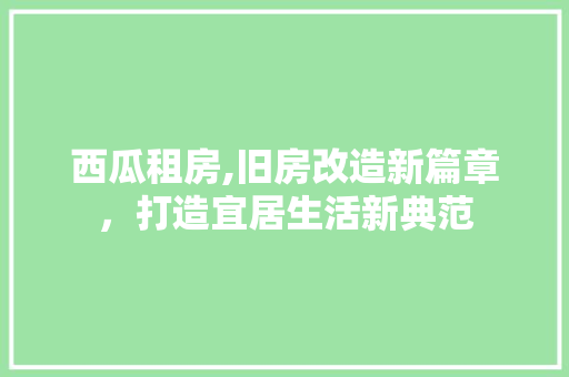 西瓜租房,旧房改造新篇章，打造宜居生活新典范
