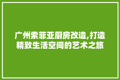 广州索菲亚厨房改造,打造精致生活空间的艺术之旅