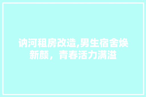 讷河租房改造,男生宿舍焕新颜，青春活力满溢