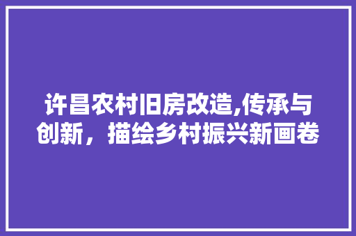 许昌农村旧房改造,传承与创新，描绘乡村振兴新画卷