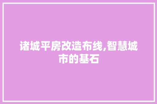 诸城平房改造布线,智慧城市的基石