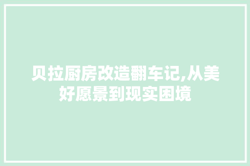 贝拉厨房改造翻车记,从美好愿景到现实困境