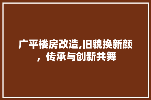 广平楼房改造,旧貌换新颜，传承与创新共舞