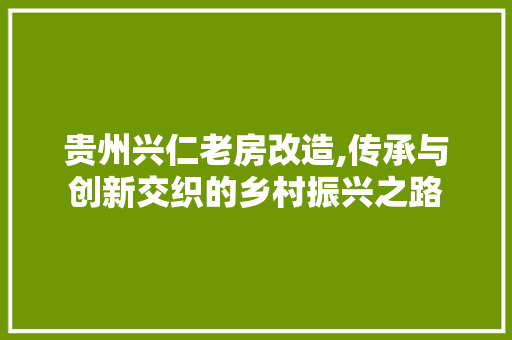 贵州兴仁老房改造,传承与创新交织的乡村振兴之路