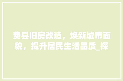 费县旧房改造，焕新城市面貌，提升居民生活品质_探析费县旧房改造工程及其成效
