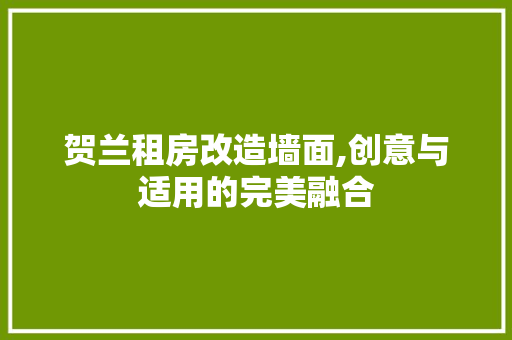 贺兰租房改造墙面,创意与适用的完美融合