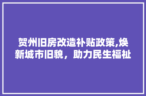 贺州旧房改造补贴政策,焕新城市旧貌，助力民生福祉