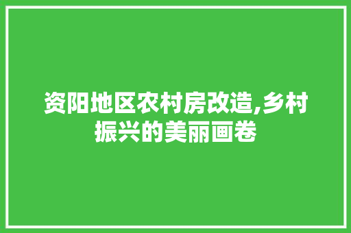 资阳地区农村房改造,乡村振兴的美丽画卷