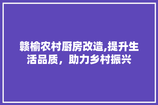 赣榆农村厨房改造,提升生活品质，助力乡村振兴