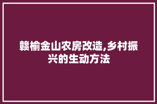 赣榆金山农房改造,乡村振兴的生动方法