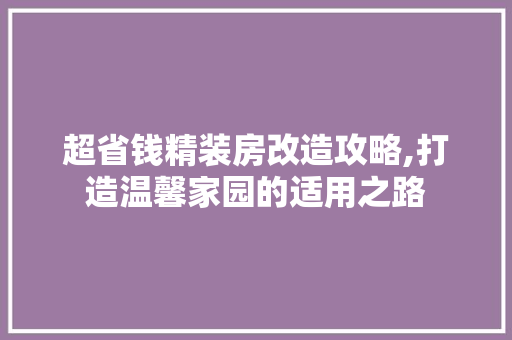超省钱精装房改造攻略,打造温馨家园的适用之路
