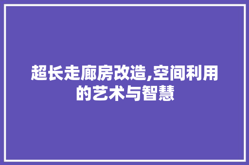 超长走廊房改造,空间利用的艺术与智慧