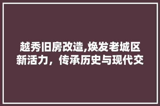 越秀旧房改造,焕发老城区新活力，传承历史与现代交融的智慧