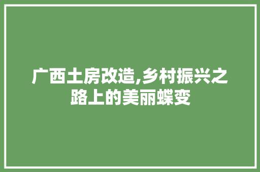 广西土房改造,乡村振兴之路上的美丽蝶变