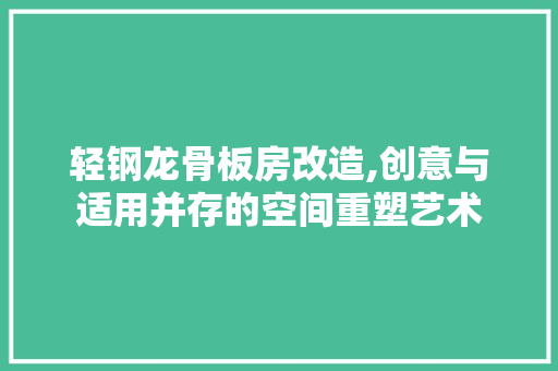 轻钢龙骨板房改造,创意与适用并存的空间重塑艺术