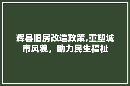 辉县旧房改造政策,重塑城市风貌，助力民生福祉