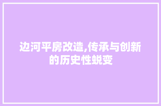 边河平房改造,传承与创新的历史性蜕变