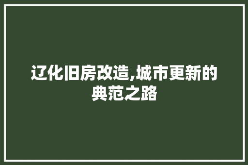 辽化旧房改造,城市更新的典范之路