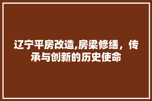 辽宁平房改造,房梁修缮，传承与创新的历史使命