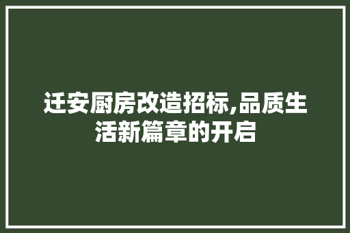 迁安厨房改造招标,品质生活新篇章的开启